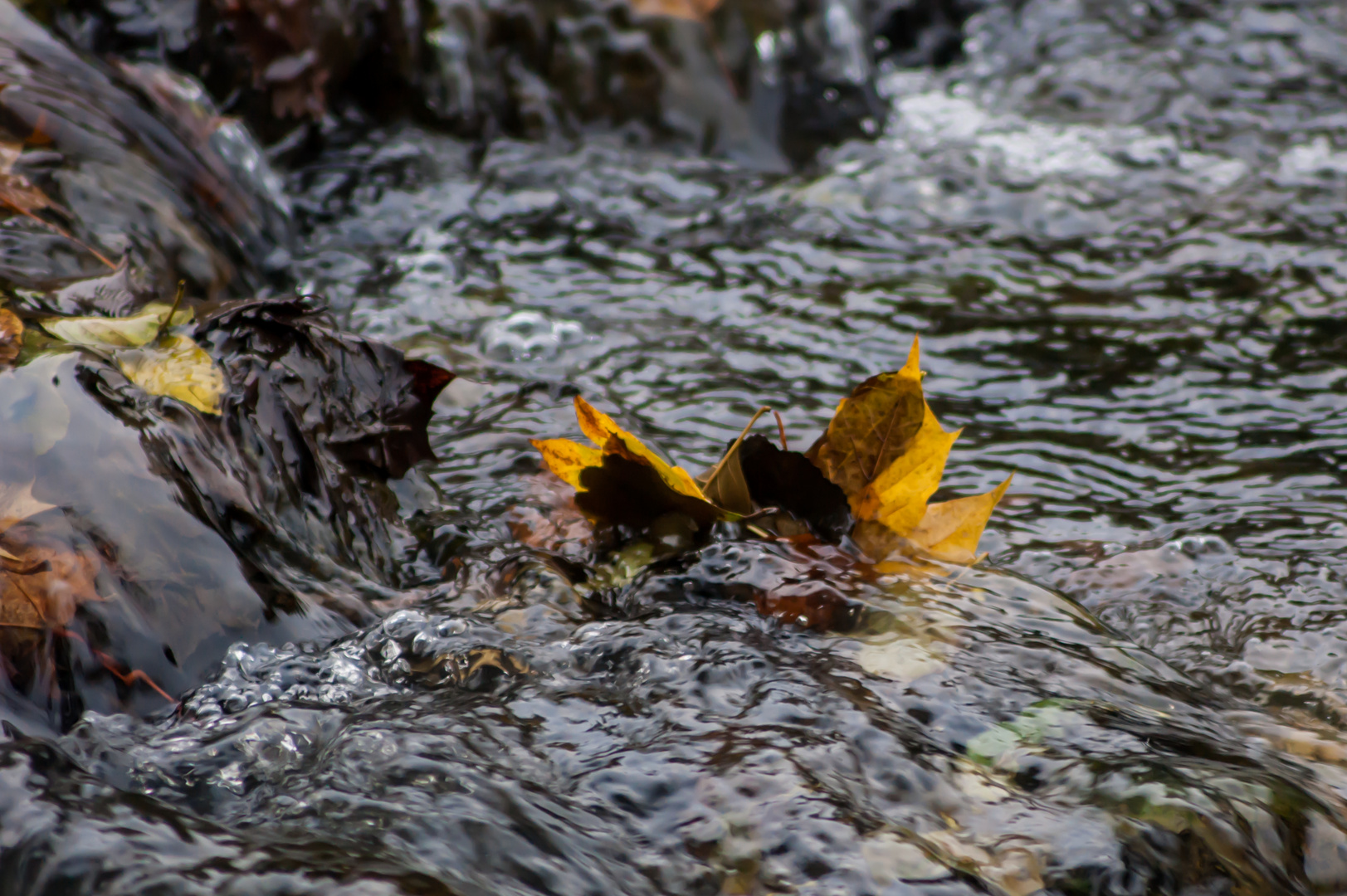 Herbst