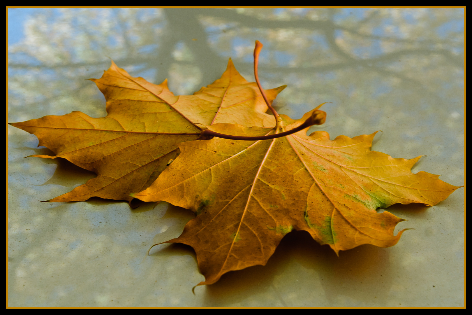 herbst #3