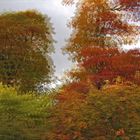 Herbst 3 (3D)