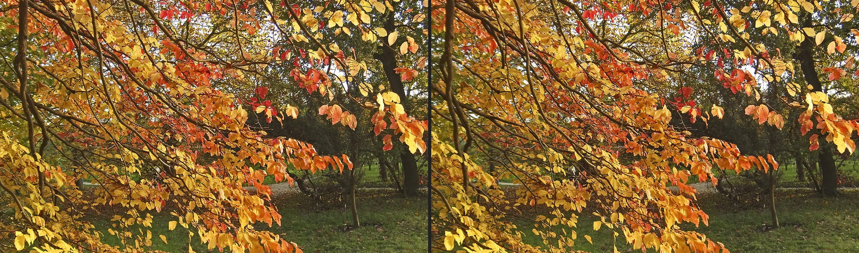 Herbst 3 (3D)