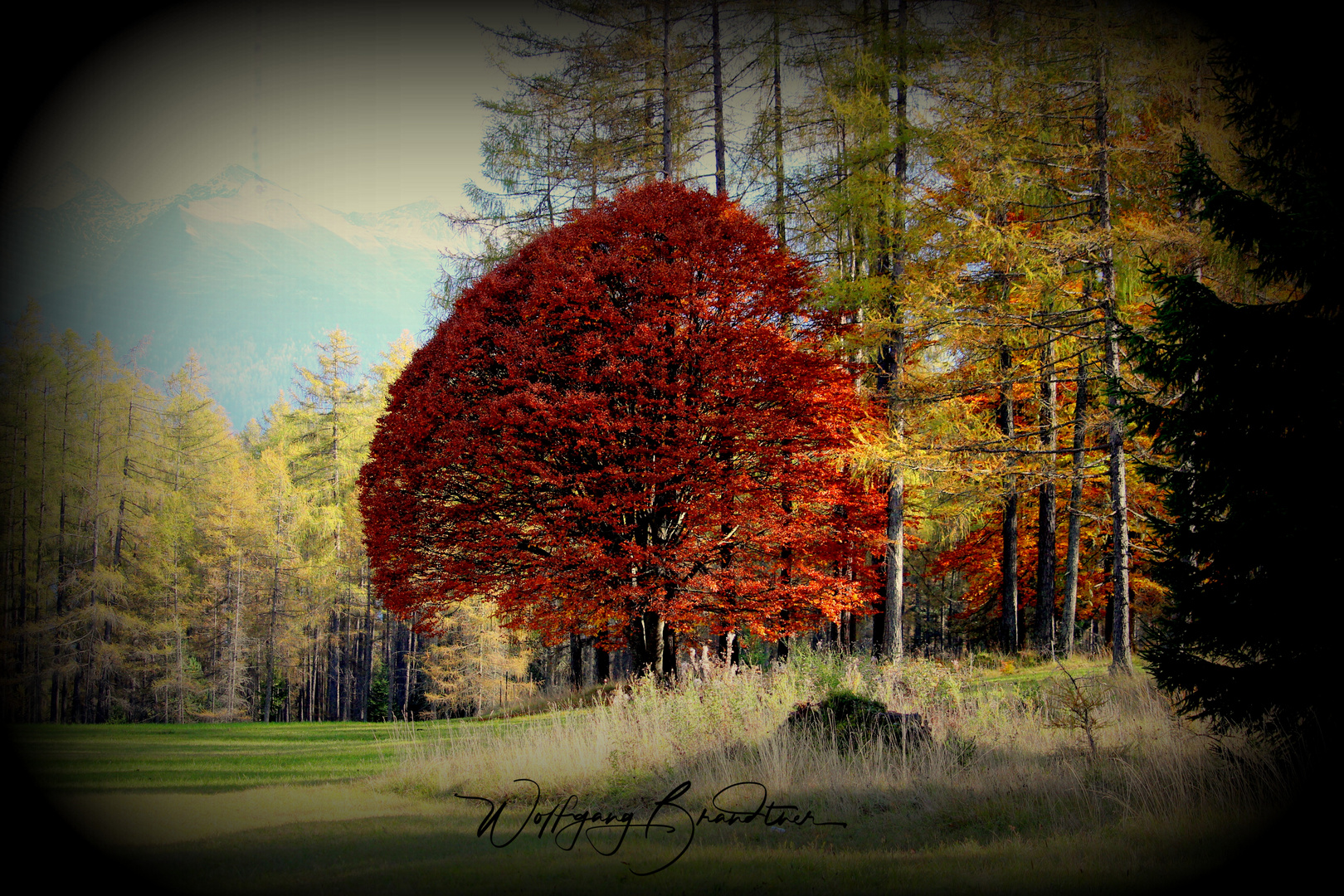 Herbst 3