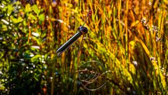 HERBST 3