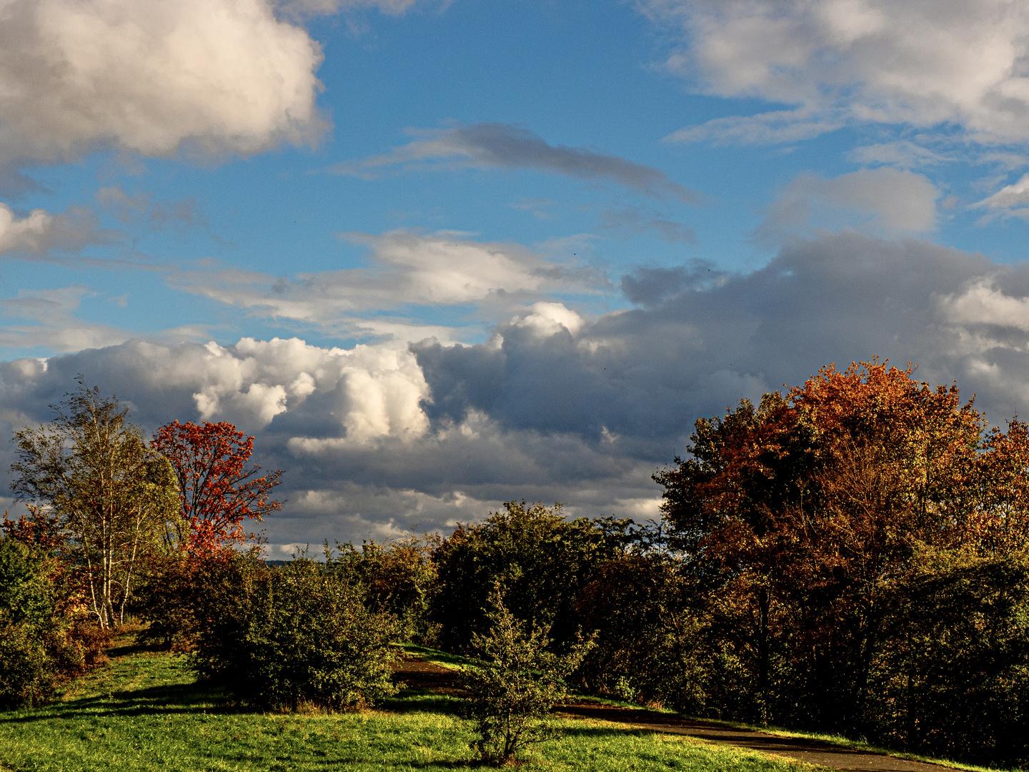 Herbst # 3