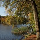 Herbst 3 am Schmalensee