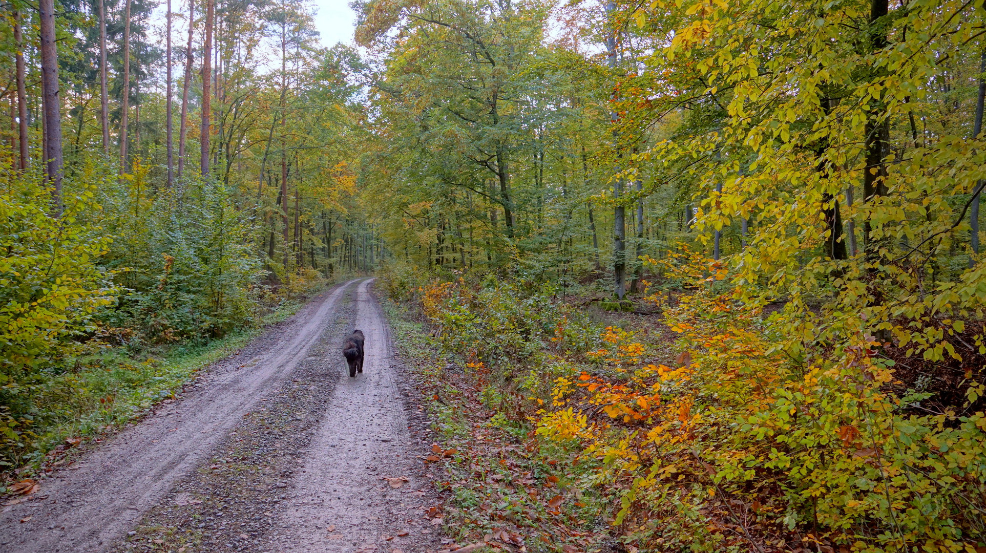 Herbst, 3 (otoño, 3)