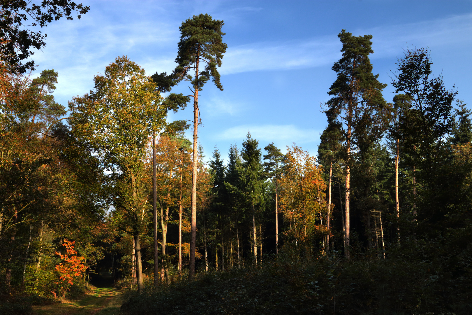 *Herbst*