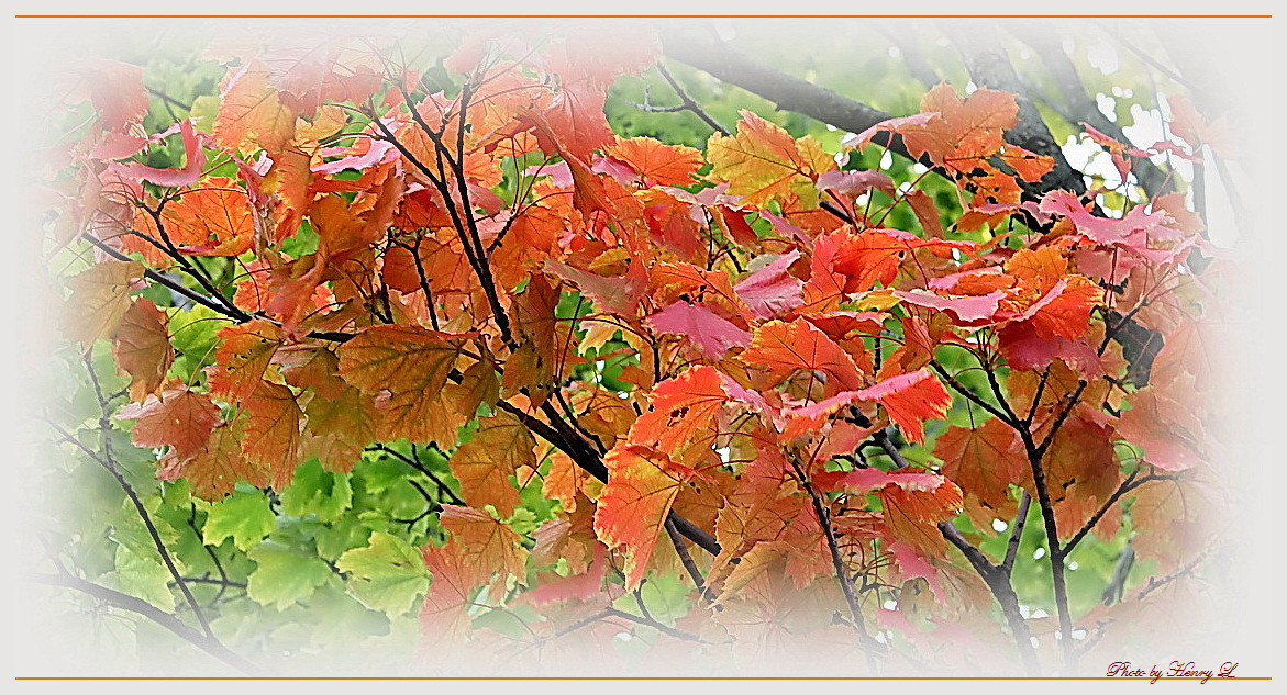 Herbst