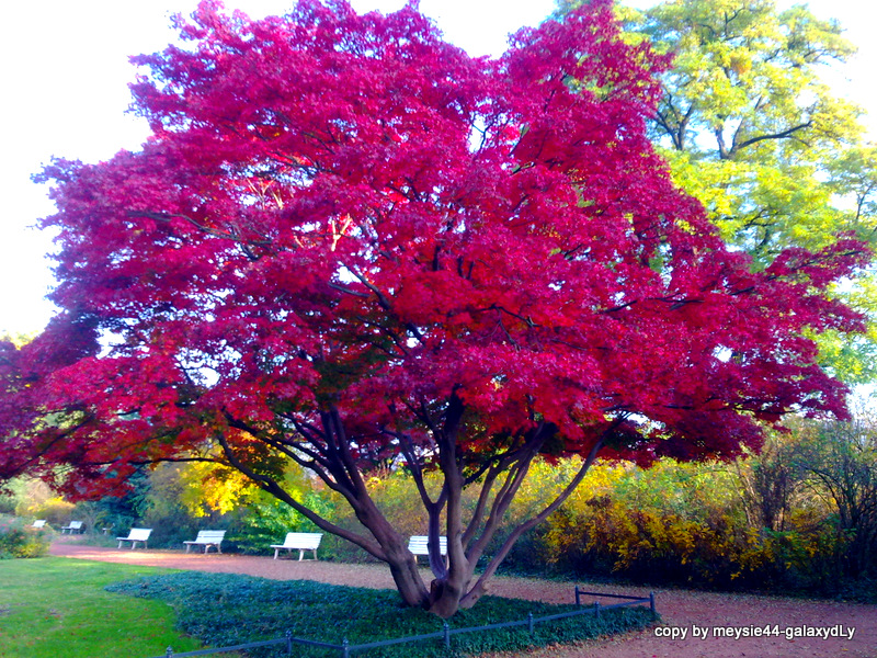 Herbst