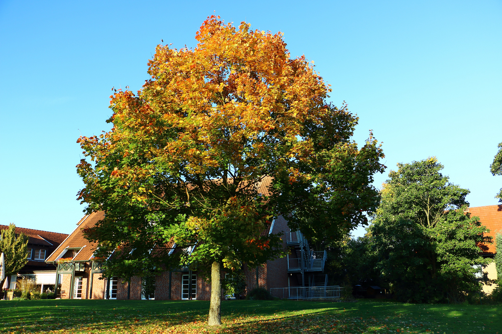 Herbst