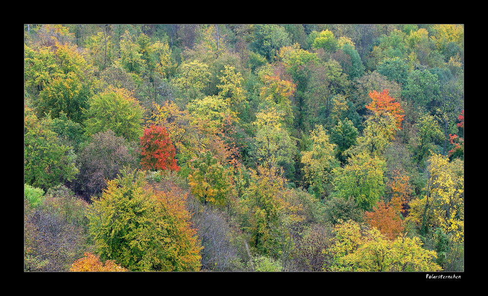 Herbst