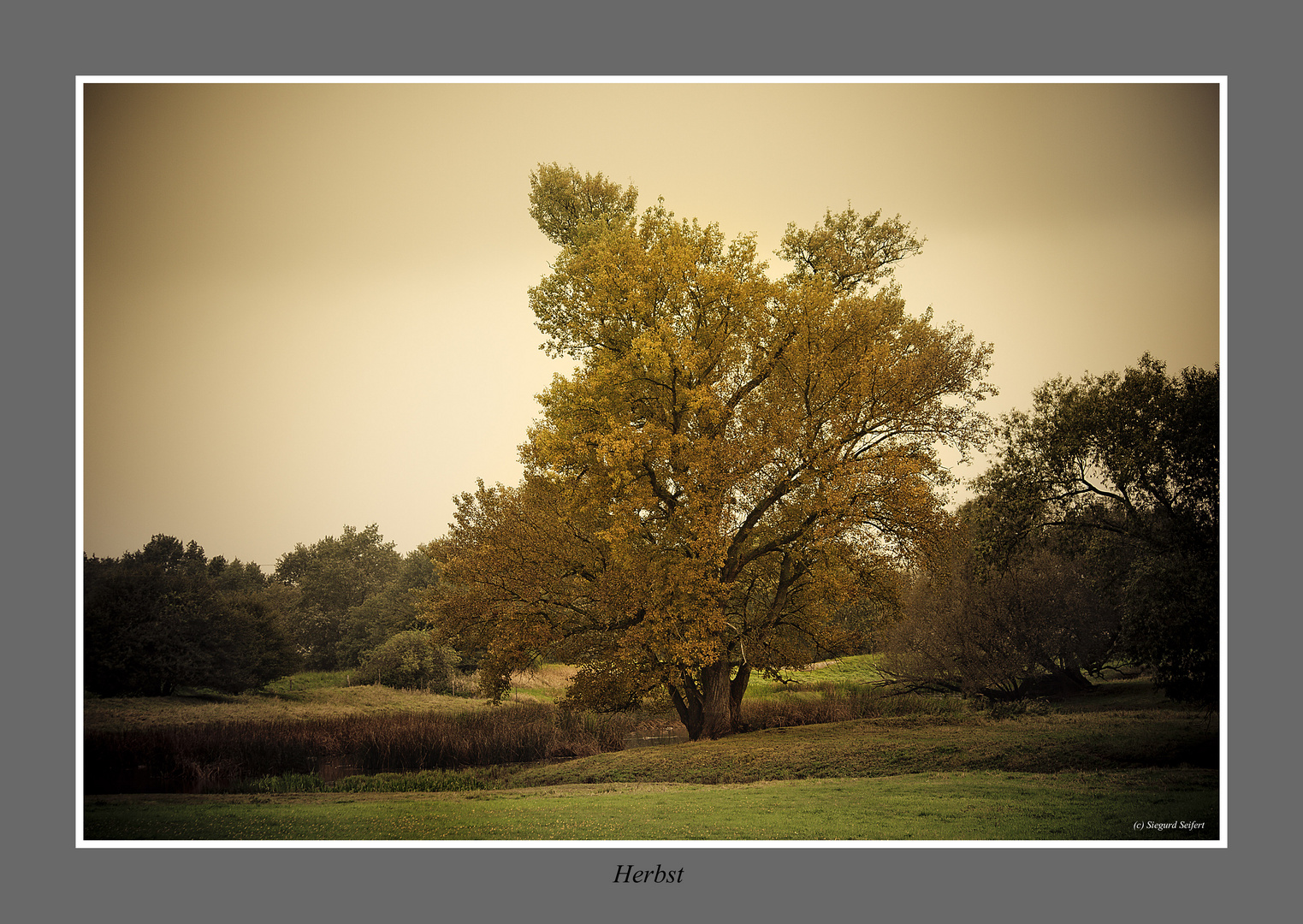 Herbst