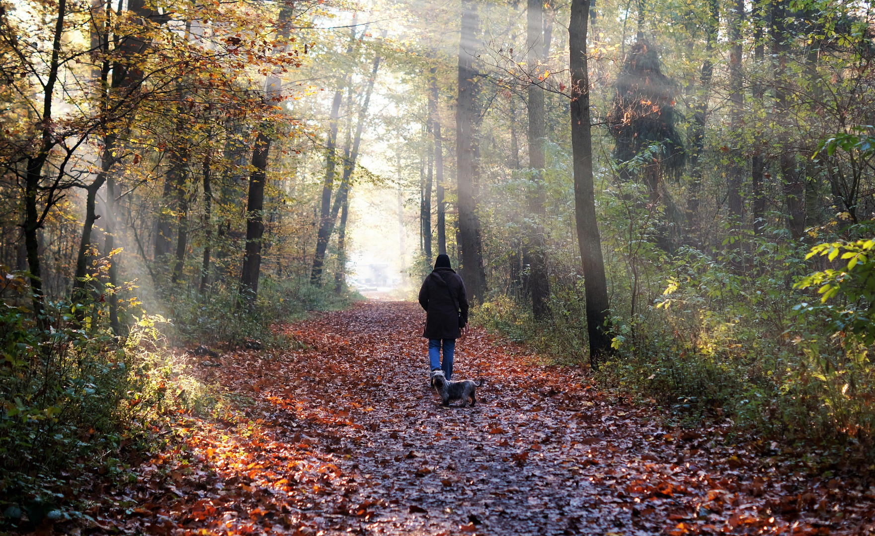 Herbst