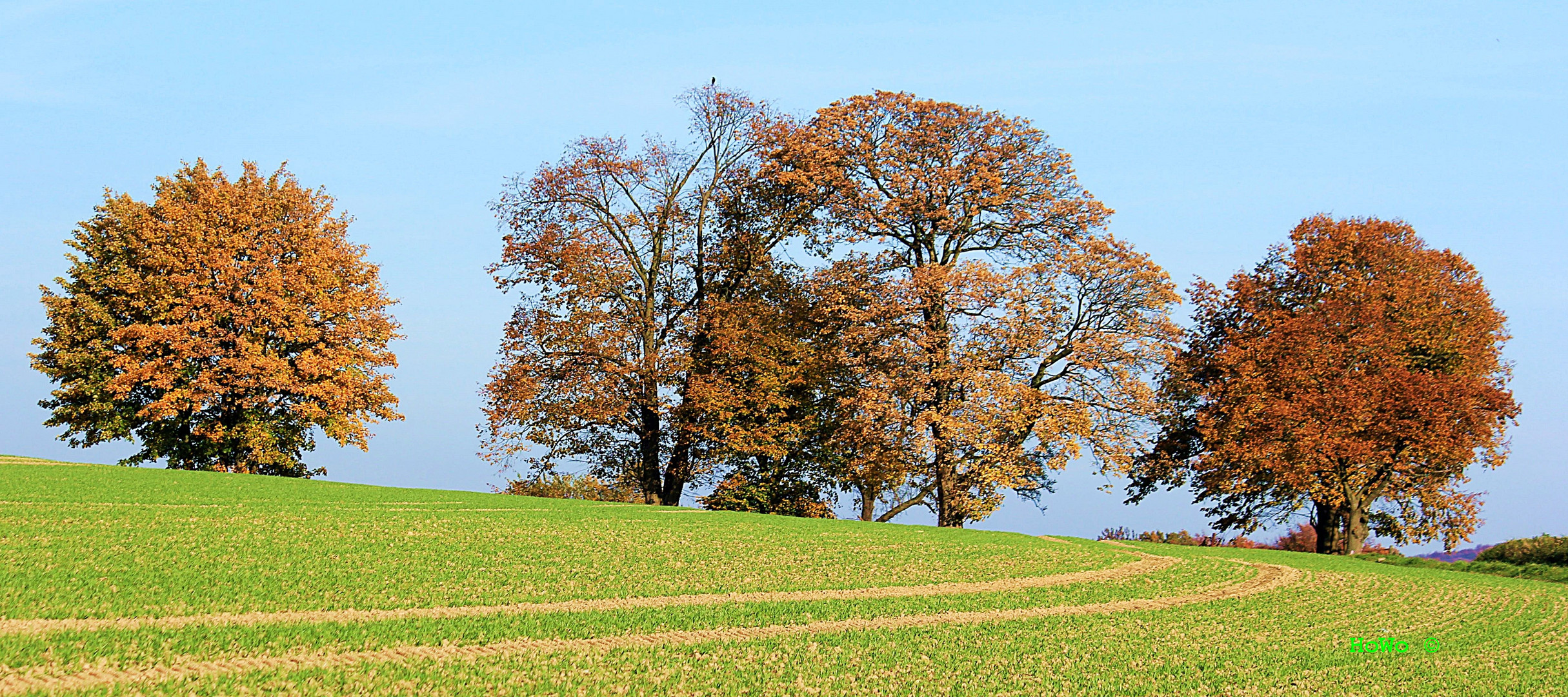 Herbst