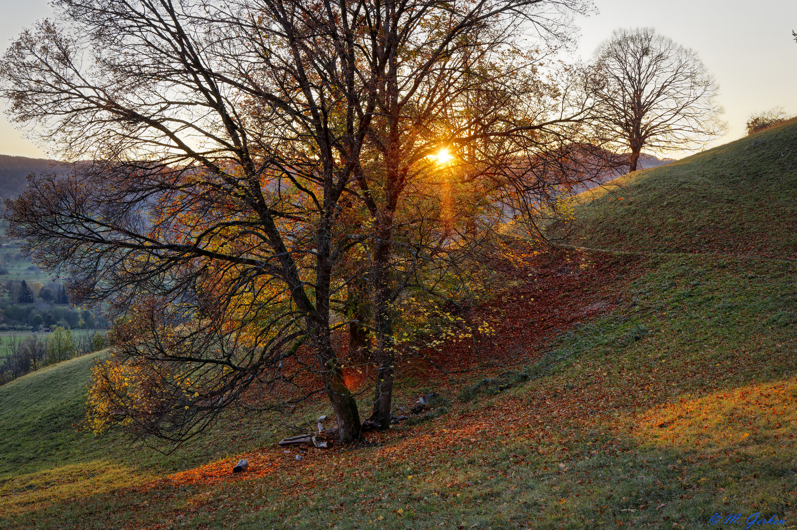 Herbst