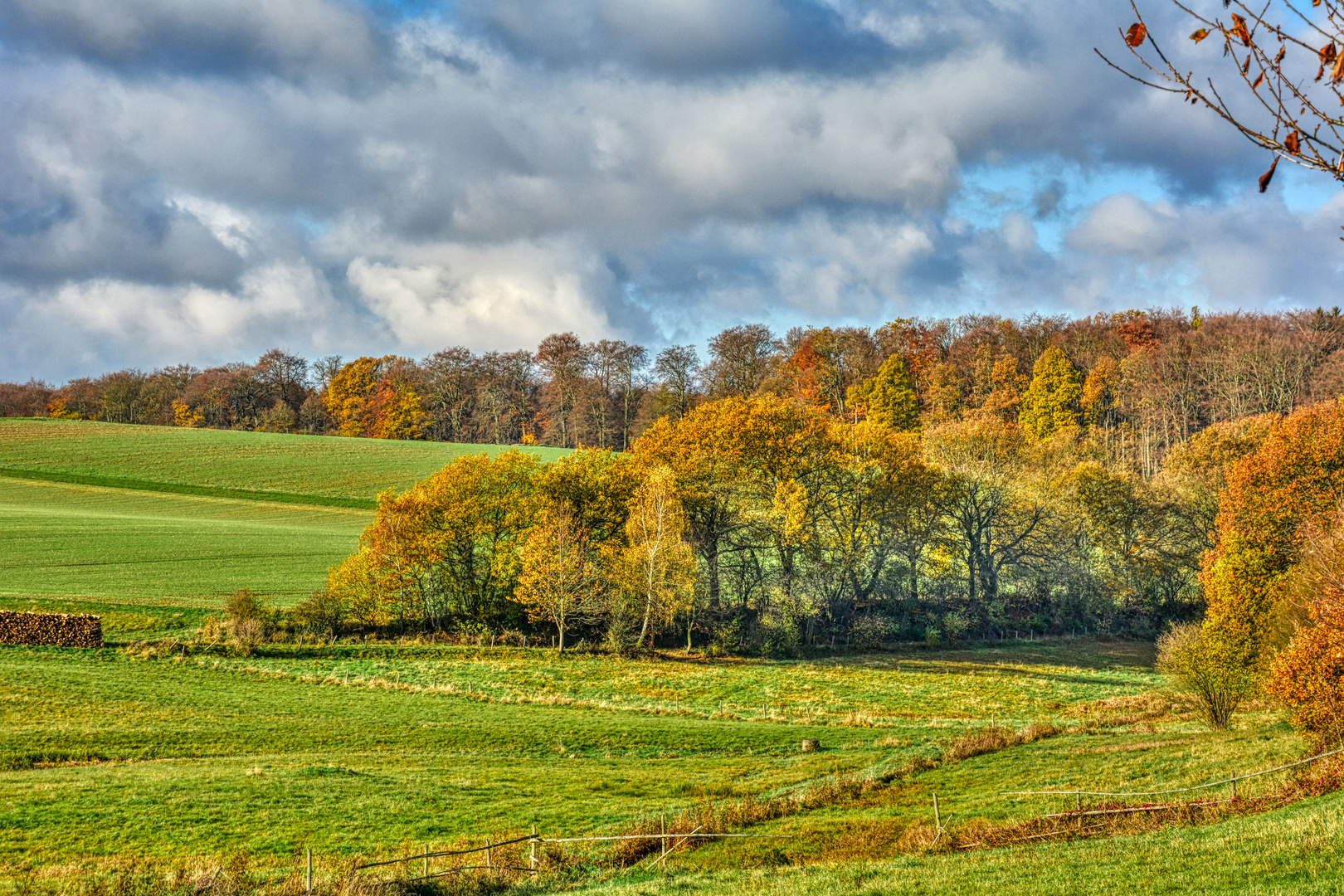 Herbst