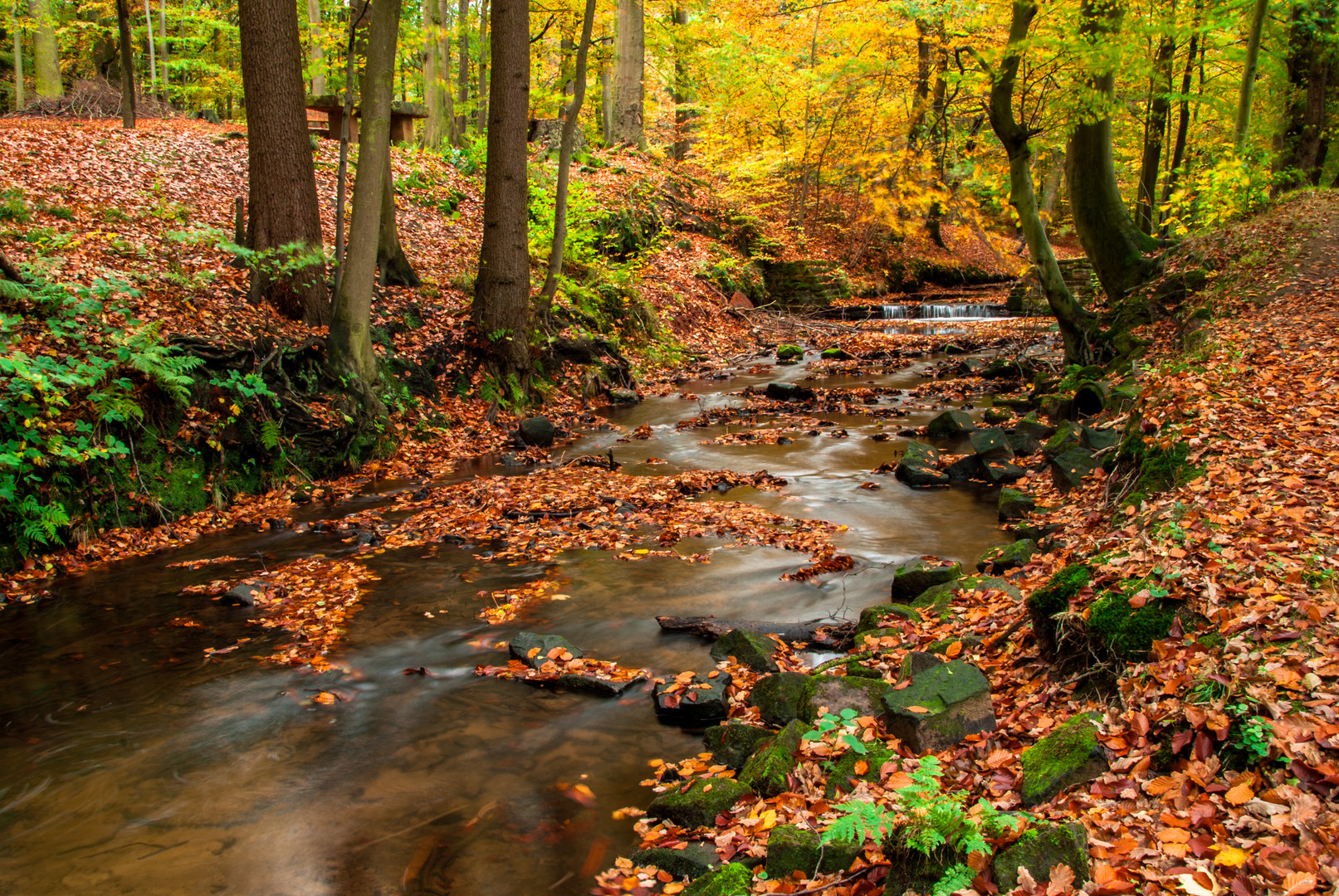 Herbst