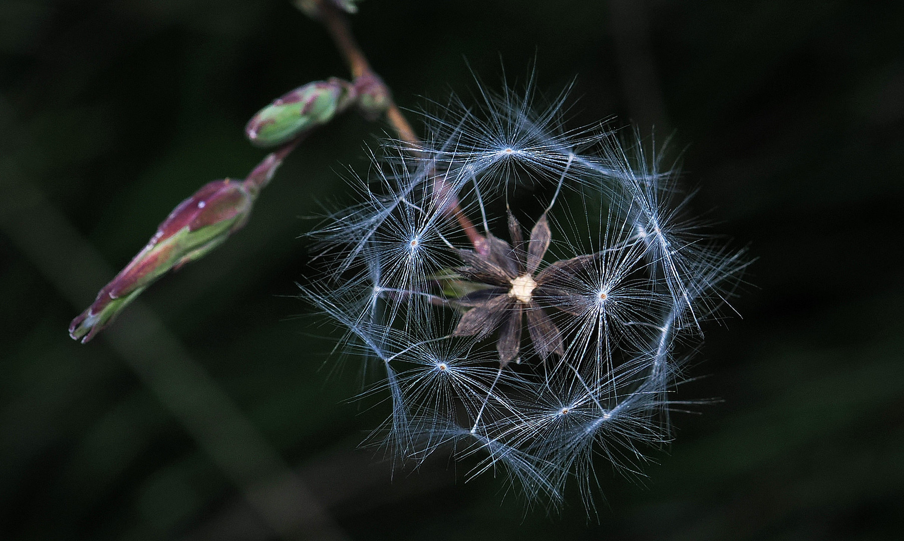 Herbst …