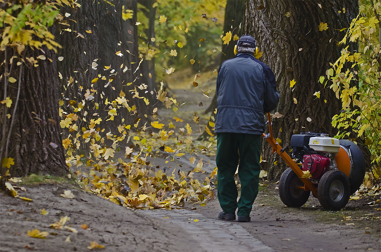 Herbst