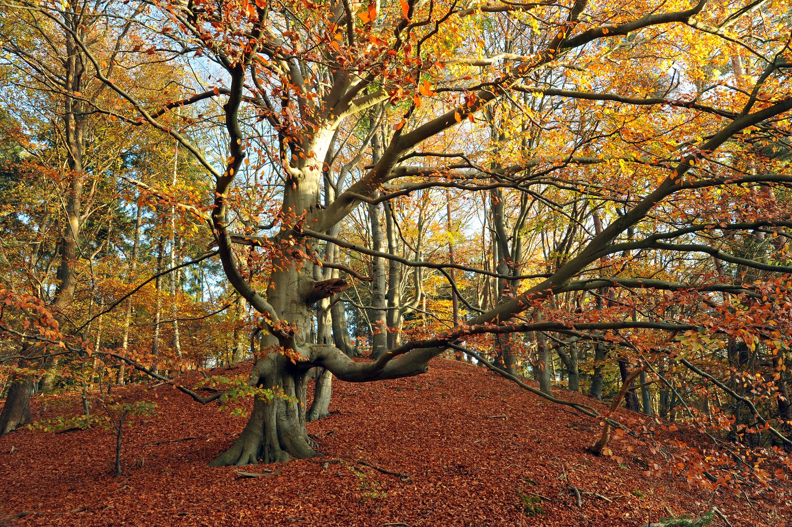 Herbst 