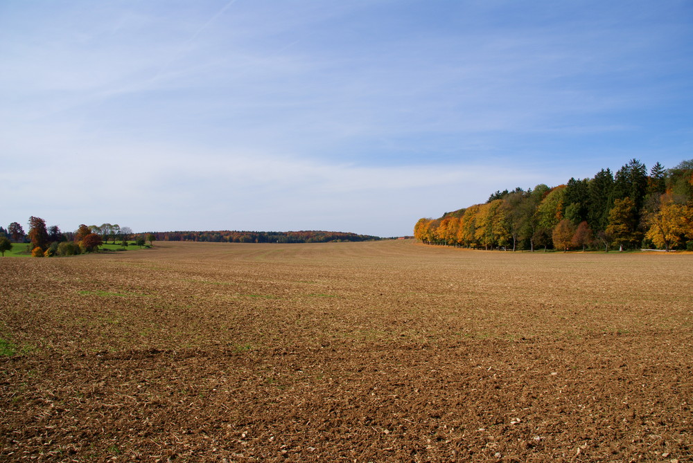 Herbst