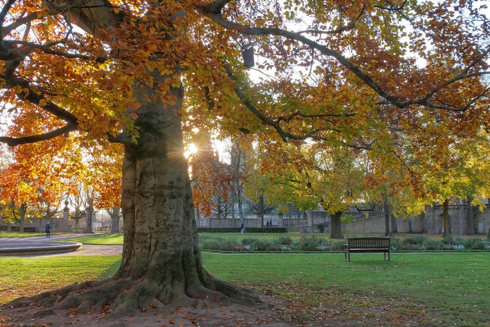 Herbst...