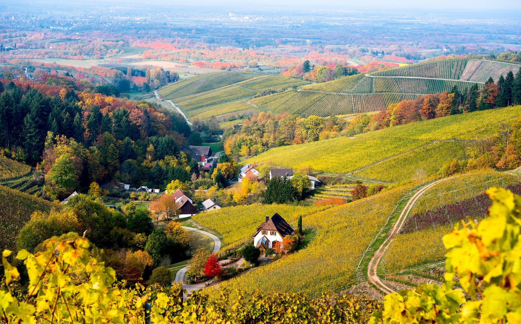 Herbst.