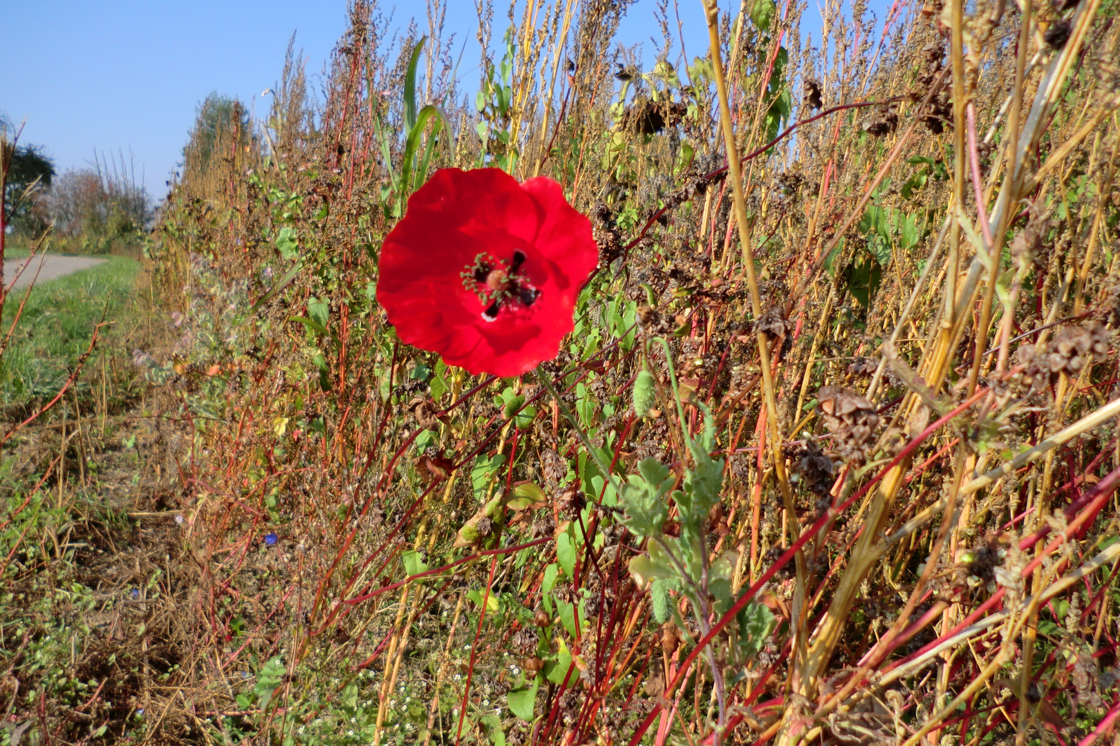 Herbst ??