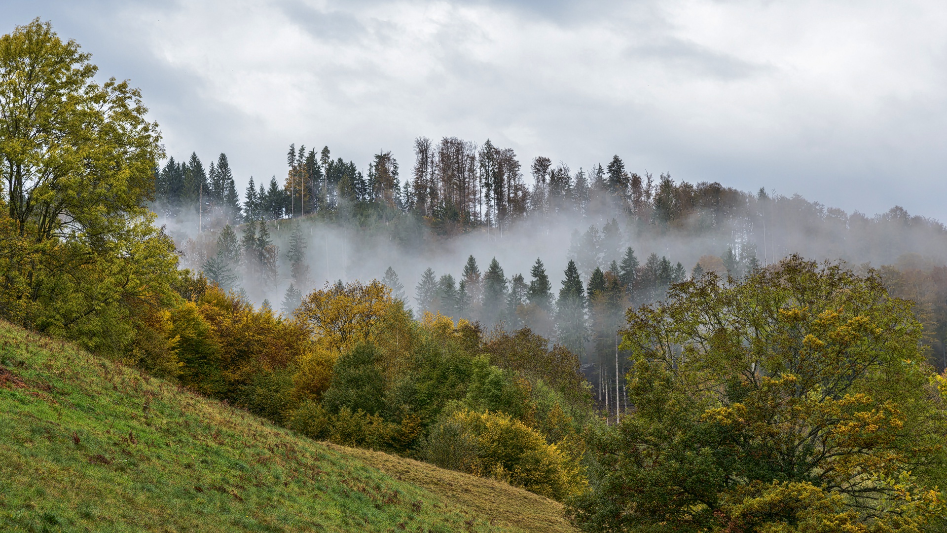 Herbst 