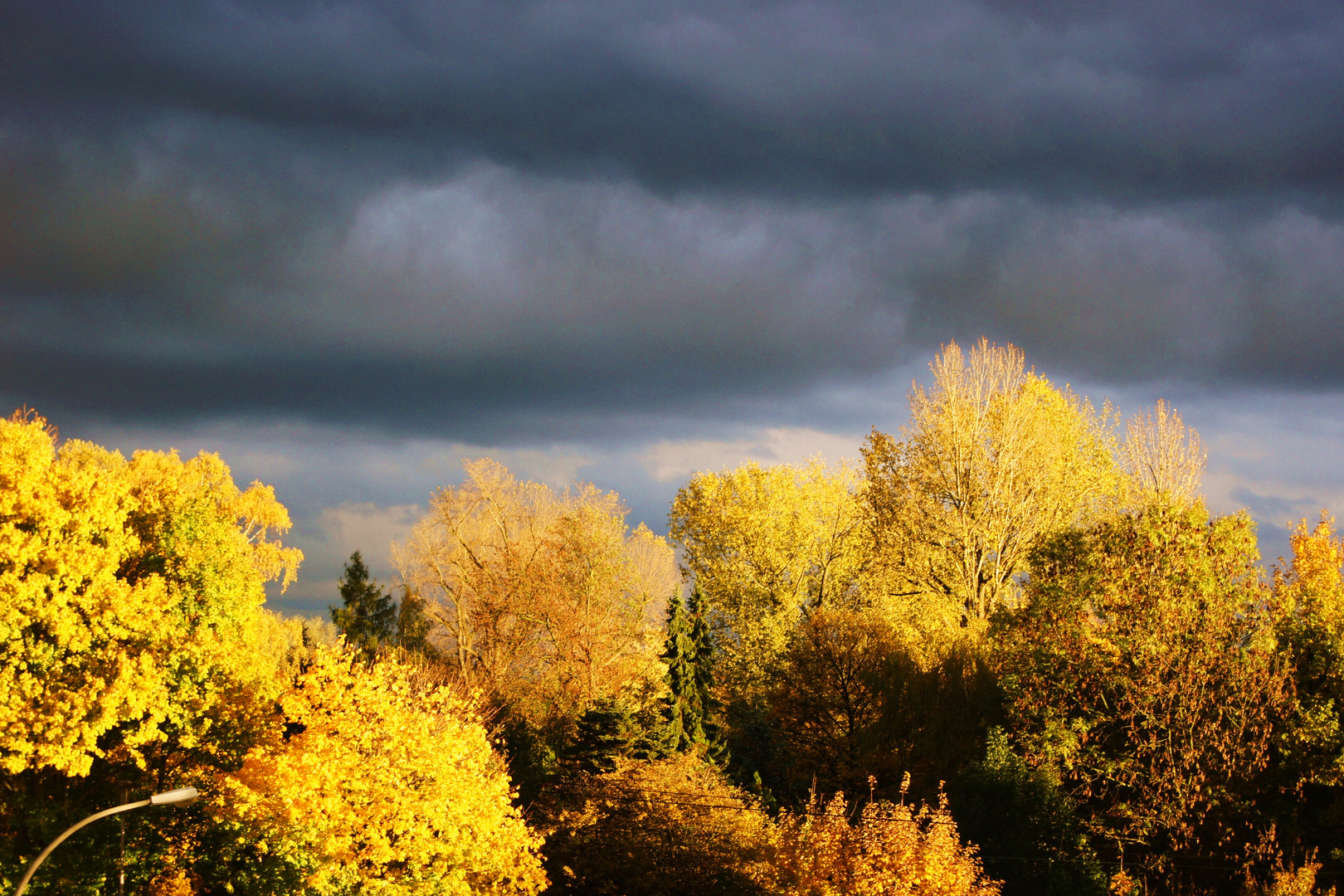 Herbst