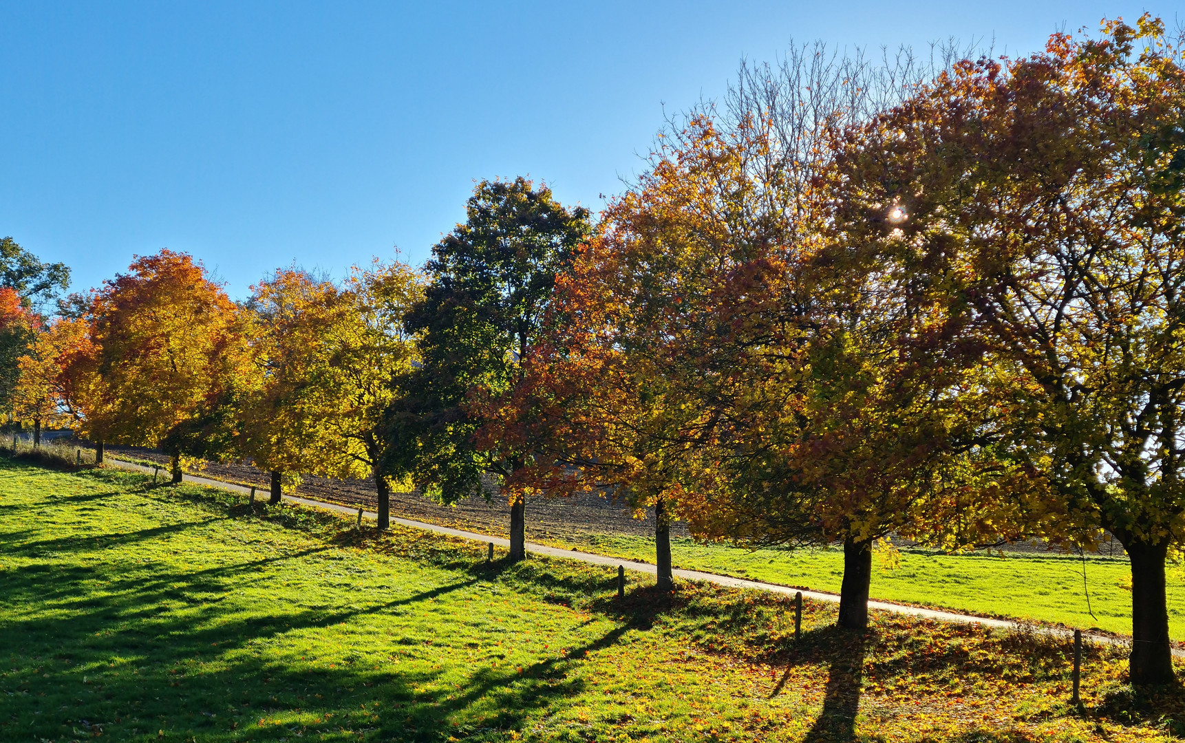 Herbst