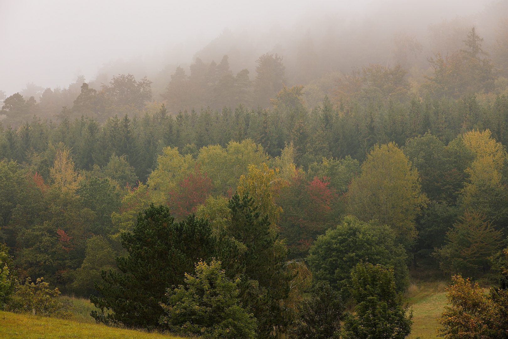 Herbst