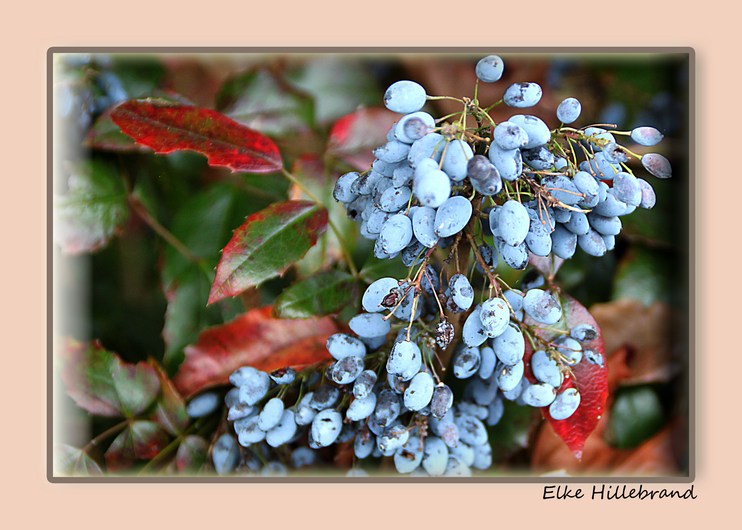 Herbst