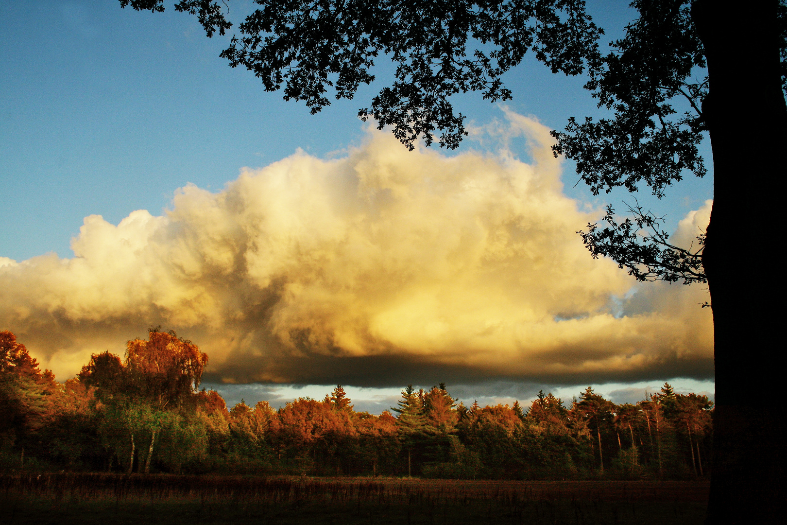 Herbst