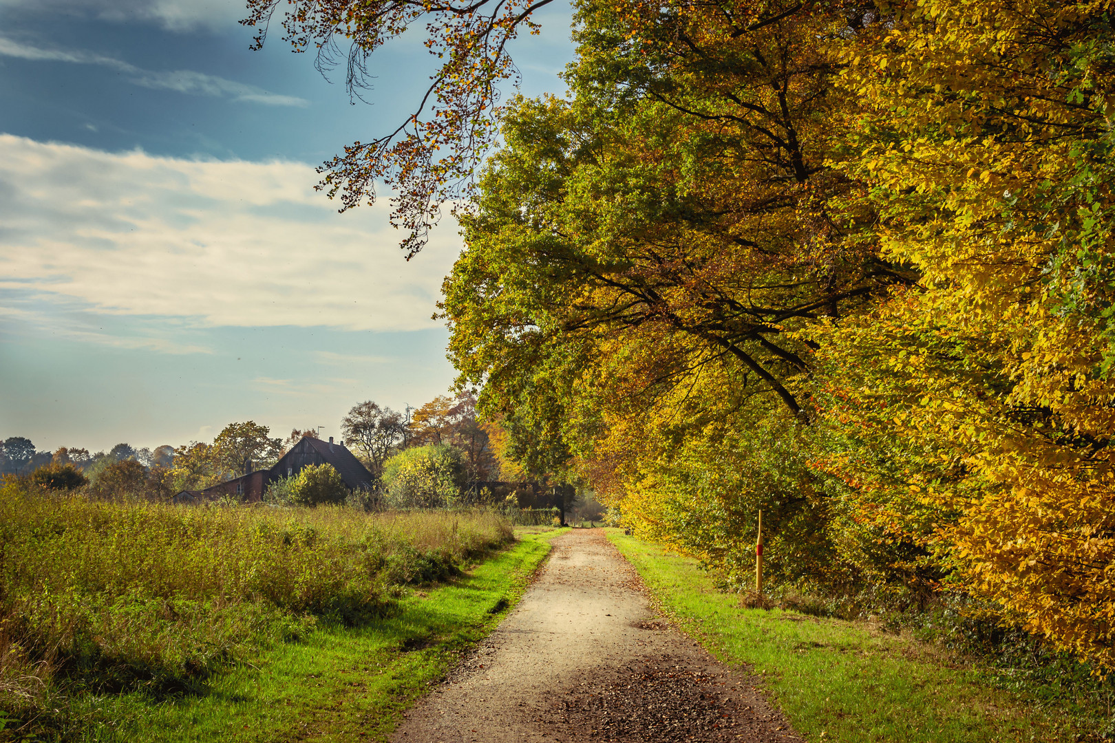 Herbst 