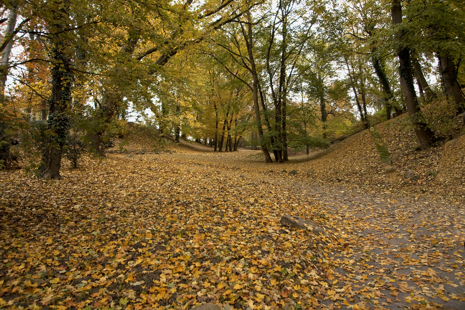 Herbst