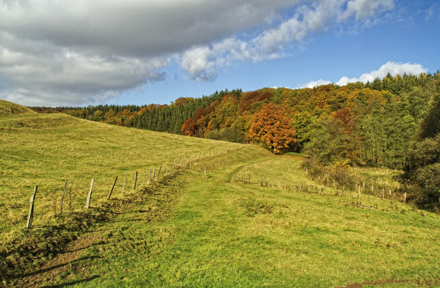 Herbst