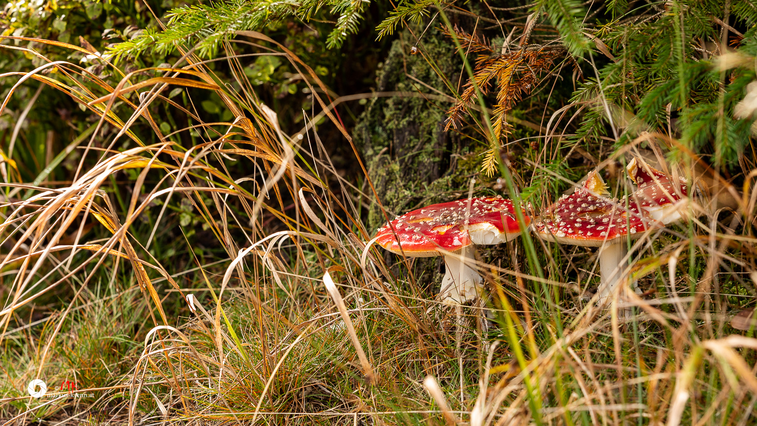 ...Herbst... 