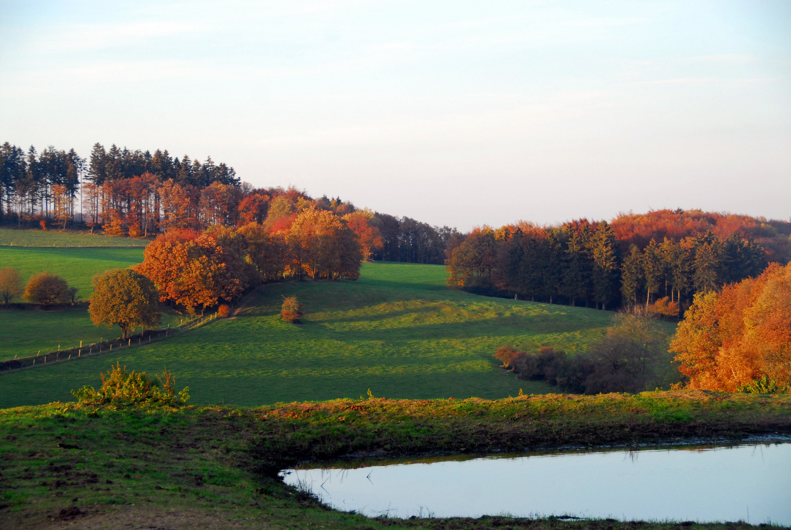 HERBST