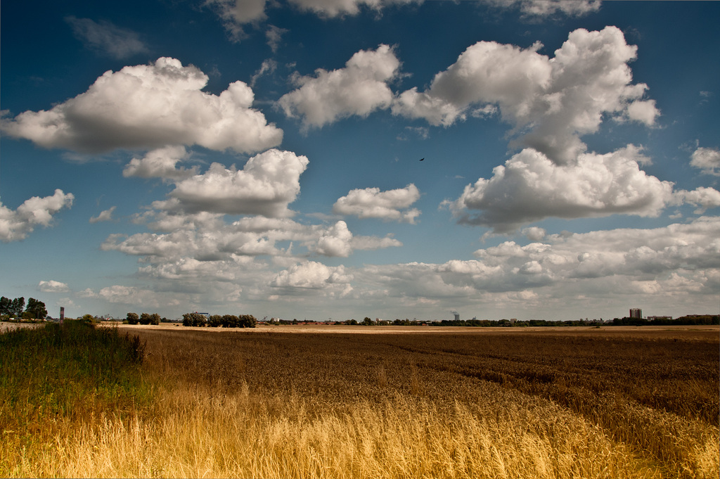 Herbst