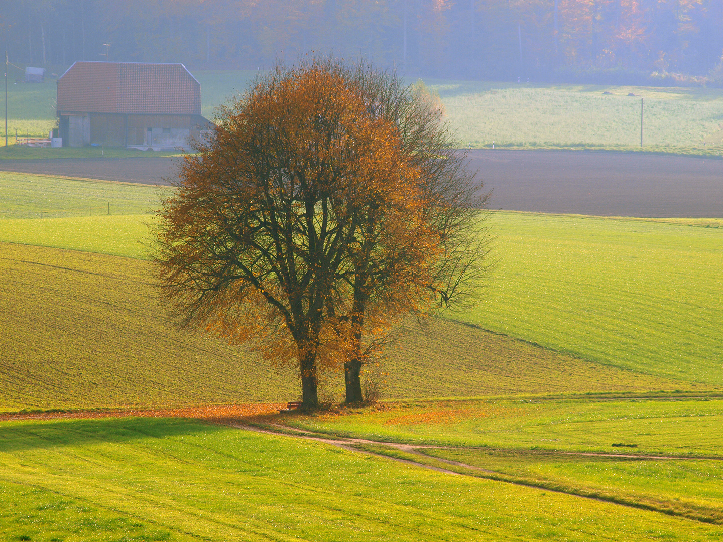 Herbst