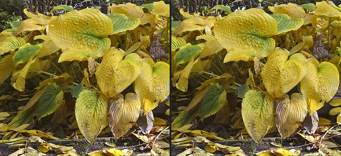 Herbst 4 (3D)