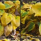 Herbst 4 (3D)