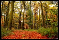 Herbst 4