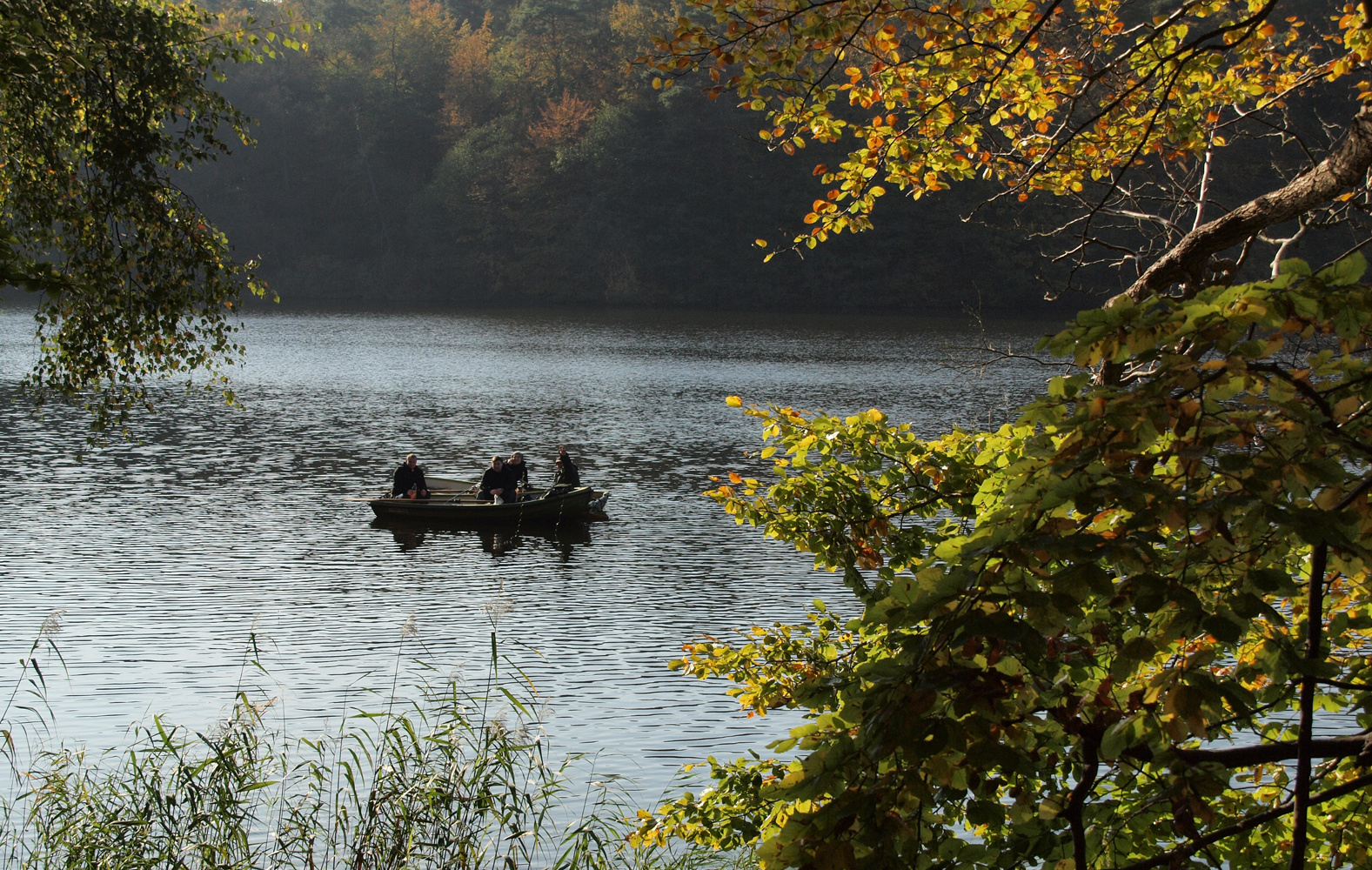 Herbst 4 am Schmalensee