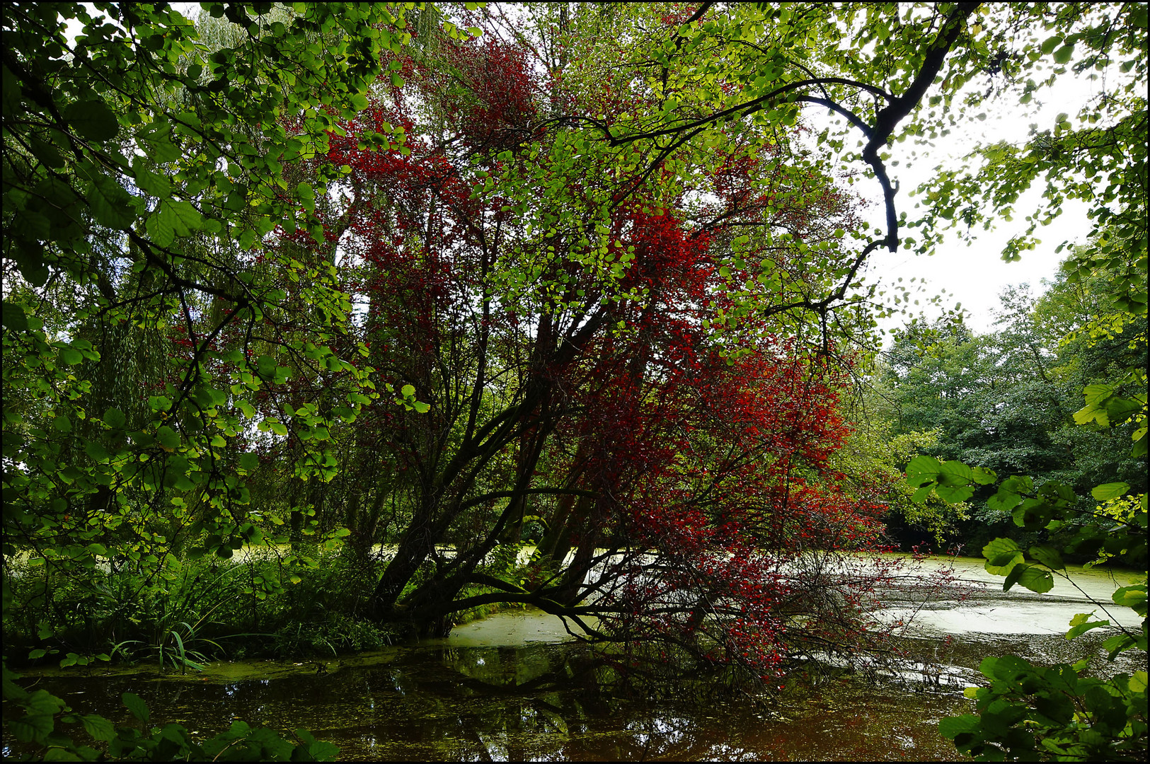 Herbst #4