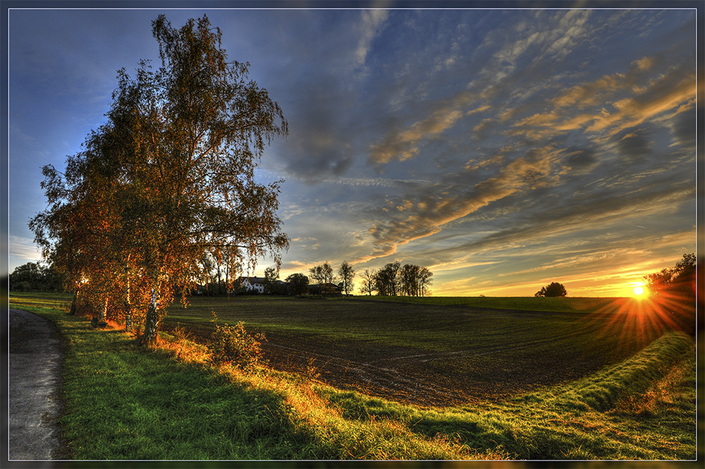 Herbst