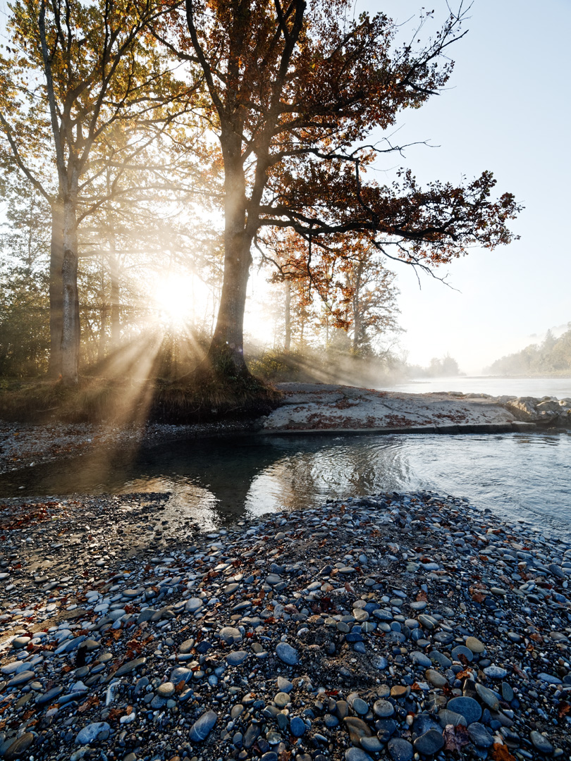 Herbst