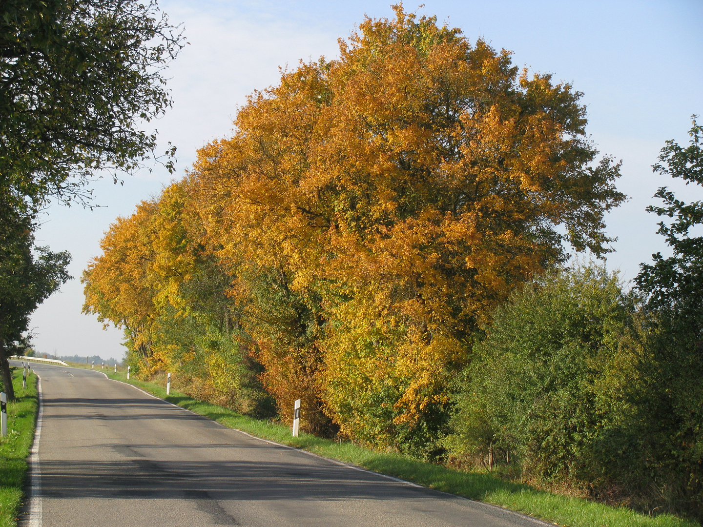 Herbst