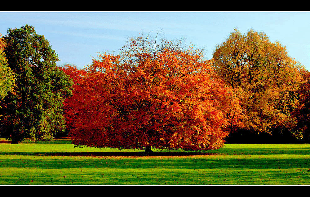 Herbst !!