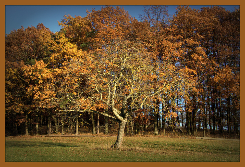 "Herbst"